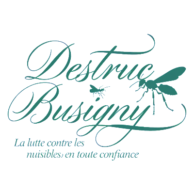 Destrucbusigny